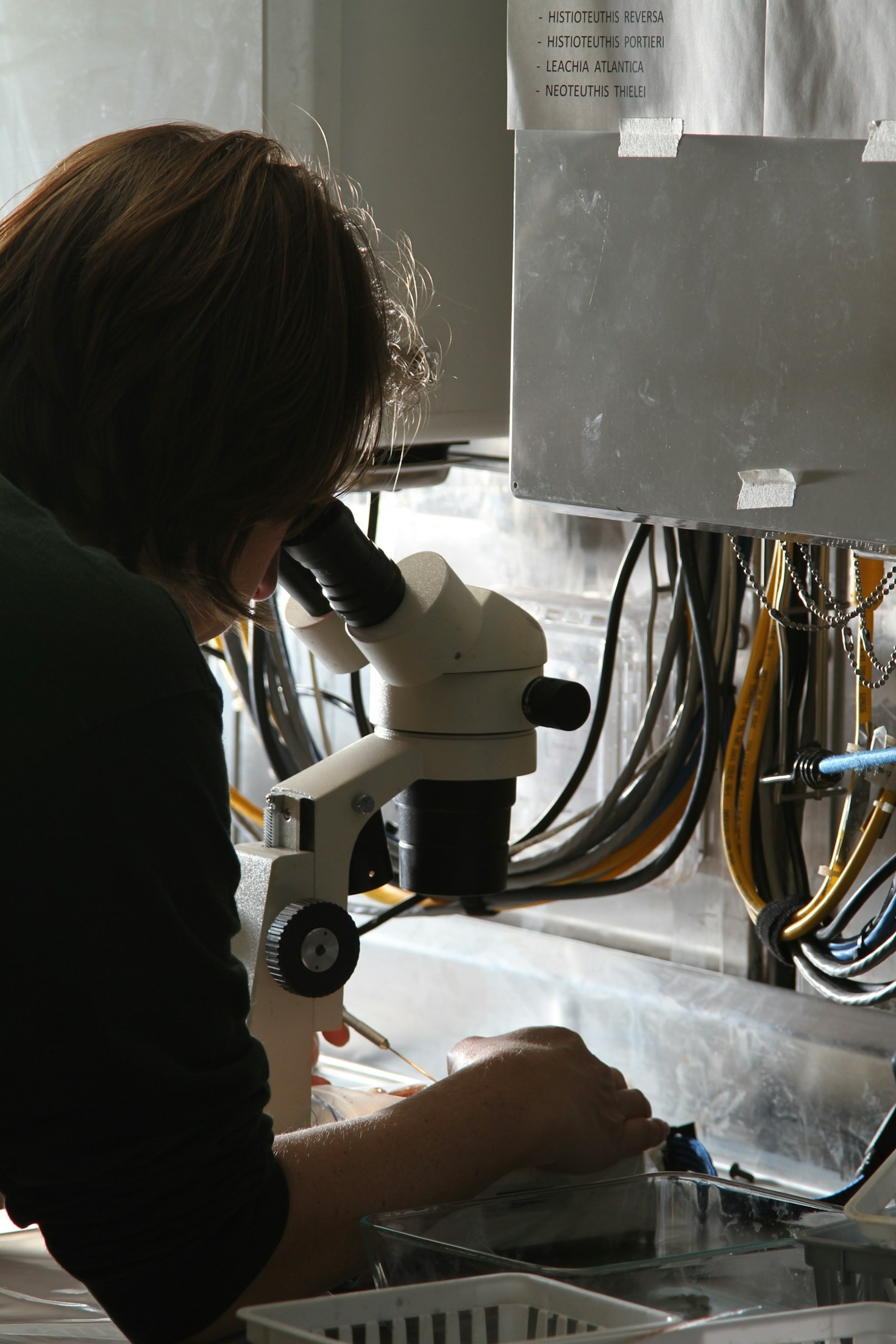 The Role of Targeted Tuition in Academic Performance